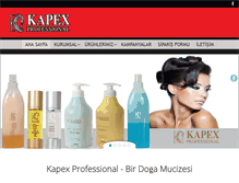 Tablet Screenshot of kapexprofessional.com